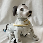 the・セーラー☆ヴィンテージオフ×サフラン