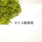マイコ様専用ページ