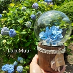 【父の日の贈り物にも◎】しゃぼんバルーンの紫陽花ポット*ライトブルー《名入れ出来ます♡アレンジ 風船》