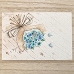 透明水彩画「ブルーローズ」 イラストポストカード　2枚セット　バラ　ばら　薔薇　花　フラワー
