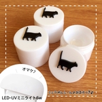 ミニUVライト♪無地or黒猫レジン容器・コンテナ・ケース
