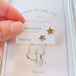 星ピアス　チタンピアス