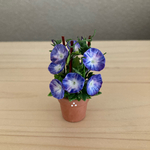 朝顔の花鉢        ミニテラコッタ鉢 2