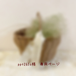 ＊ppt265s様　専用ページ＊