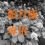 飴月様専用