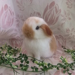 もふもふ　たれ耳うさぎ　（大きめ）