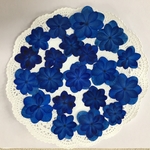  NO.334 再販✨ロイヤルブルーの八重紫陽花／押し花素材