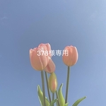 378様専用