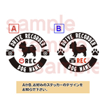 チワワ ちわわ ドライブレコーダーステッカー ドラレコ 丸型 可愛いステッカー 犬 給油口 ステッカー リアガラス 車