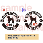 トイプードル トイプー ドライブレコーダーステッカー ドラレコ 丸型 可愛いステッカー 犬 給油口 ステッカー リアガラス 車