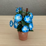 朝顔の花鉢        テラコッタ鉢 3