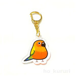 コガネメキシコインコ アクリルキーホルダー 鳥 4455