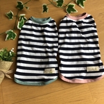 防蚊モステクト犬服Ｄダックスサイズ