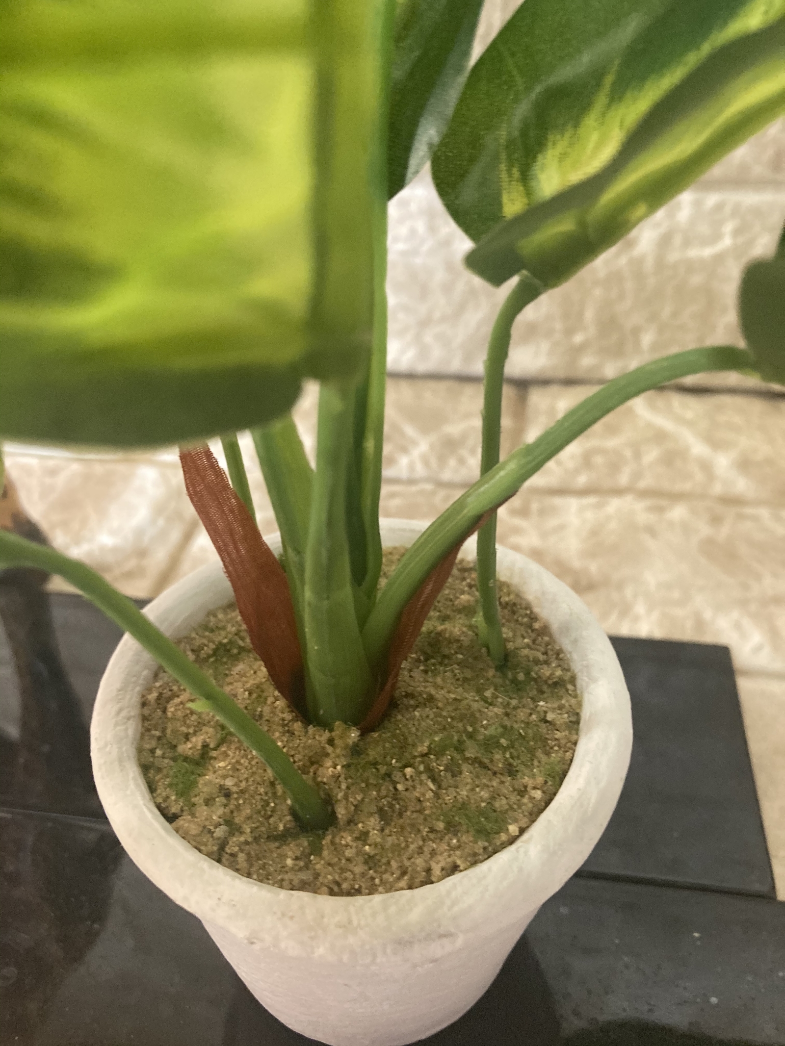 光触媒 人工観葉植物 ウォールグリーン 造花 インテリア パキラと