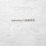 marumizu1129様専用ページです