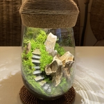 苔テラリウム　LEDライト蓋付き 気孔石の山