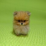 ポメラニアン オレンジ パピー 羊毛フェルト