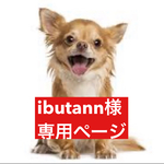 専用ページ
