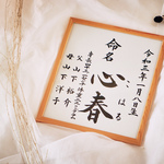 【命名書】定番の楷書体／選べる書式／色紙／額縁付き／送料無料／おまけ付き