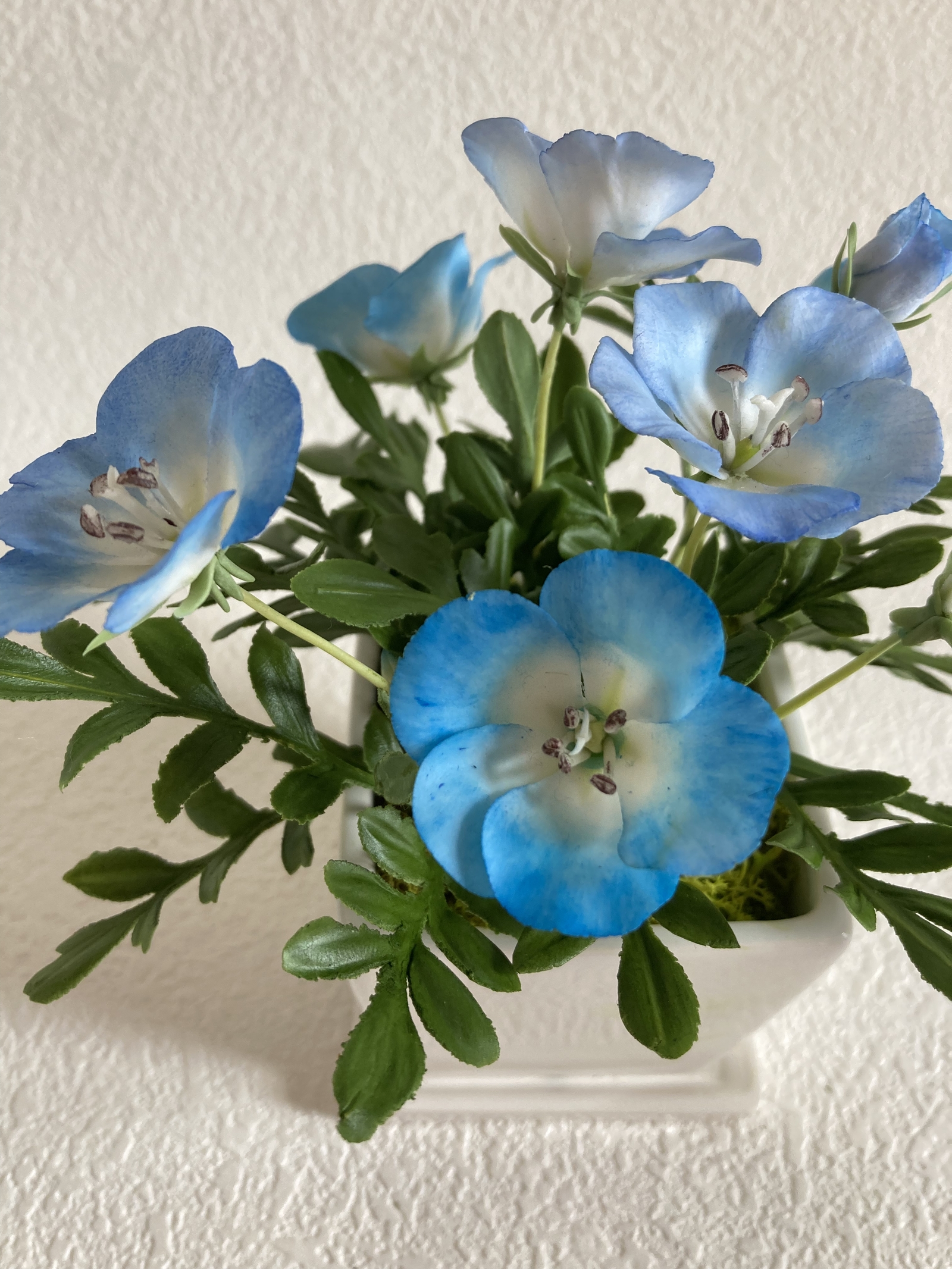 クレイフラワー ネモフィラ - FLORACLAY'S GALLERY | minne 国内