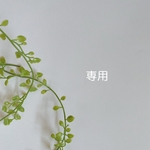 専用ページ