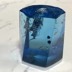 立ち食い中ジンベエの大水槽 グリーン