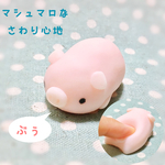 ぷにぷに！ミニブタ
