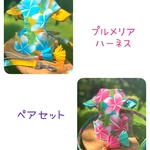 ハイビスカス袖フリル付きペアセット（ハーネス２点）