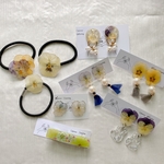 【SALE】押し花  アウトレット 【SALE】