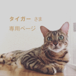 タイガーさま専用ページ