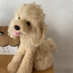 y様ご予約品⭐︎BIGサイズロマネちゃん