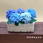 [第6段]ミニチュア紫陽花の花壇(ブルー系)