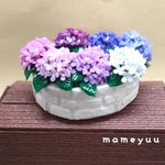 [第6段]ミニチュア紫陽花の花壇③