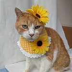 ひまわりセットドレス