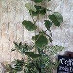 光触媒　人工観葉植物　ウォールグリーン　造花　インテリア　シーグレープ100