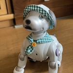 グリーンギンガムのセーラー&ハット
