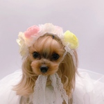 犬アクセサリー★ウエディングフラワーヘッドドレス★