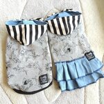犬服！サメ🦈！ボーダー切り替え