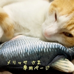 [メリッサ さま¨̮♡専用ページ]