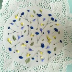 押し花素材　No163　ロイヤルブルーのかすみ草と小花のセット