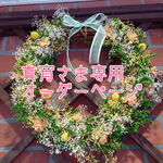 アリスの宝物、にゃんこと音楽会