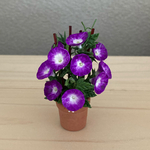 朝顔の花鉢        テラコッタ鉢 4