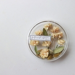 蚤の市＊Botanical glassdish モッコウバラ