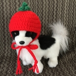 トマト帽子❤️小型犬用❤️猫用