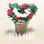 ☆送料無料☆ずっと一緒だよ/ハート型赤薔薇