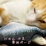 [にゃん さま¨̮♡専用ページ]