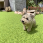 フェルト犬 ケアーンテリア ウィートンさん　<MW412>