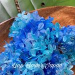 あじさい Blue gradation