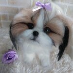 (きらくら様専用ページ)シーズーちゃん