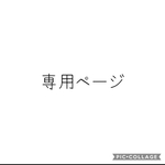 専用ページ　恐竜　巾着